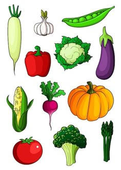 an assortment of vegetables on a white background