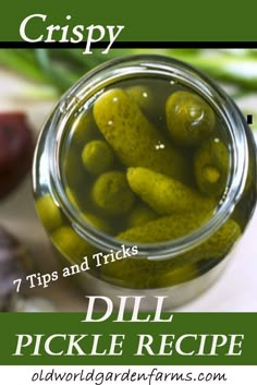 pickles in a jar with text overlay that reads crispy 7 tips and tricks