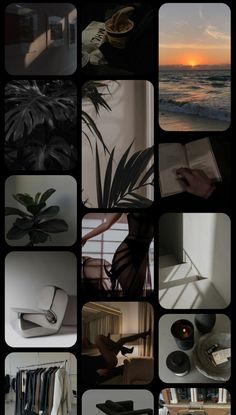 a collage of photos with the sun setting over the ocean and plants in vases