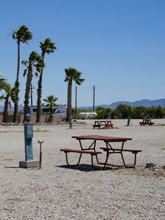 there are picnic tables and benches in the middle of an empty lot with palm trees