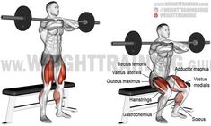 an image of a man doing squats on a bench with the muscles highlighted and labeled