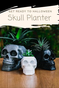 two skulls with plants in their heads on a wooden table next to the words get ready to halloween skull planter