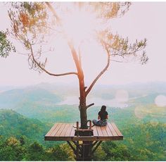 a person sitting on top of a wooden platform next to a tree