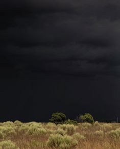 an image of a storm coming in from the sky with trees and grass on the ground