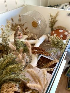 an assortment of dried plants sitting on top of a counter in front of a freezer