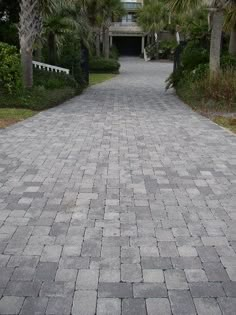 a red fire hydrant sitting on the side of a brick road next to palm trees