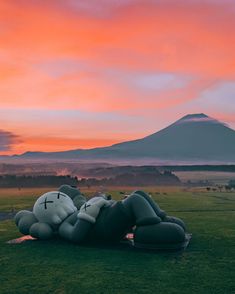 a large stuffed animal laying on top of a lush green field under a pink sky