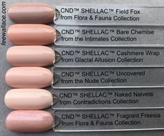 Pink Shellac, Different Color Nails, Pink Manicure, Nude Nail Polish