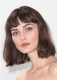 Short Fringe Short Hair, Brunette Bob Haircut With Bangs, Bangs And Short Hair Shoulder Length, Brunette Bob With Fringe, Brown Hair Short Bangs, Brunette Bob Bangs, Dark Brown Bob With Bangs, Short Haircut Brunette, Brown Short Hair With Bangs