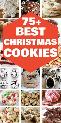 75+ best Christmas cookies collage featuring various festive cookie designs and colors. Holiday Cookie Box Ideas, Christmas Cookies Tree, Best Christmas Cookies Recipes, Hot Chocolate Cookies Cups, Best Christmas Cookie Recipes, Christmas Sugar Cookie Recipe, Cookie Recipes Holiday, Cream Cheese Sugar Cookies, Cake Batter Cookies