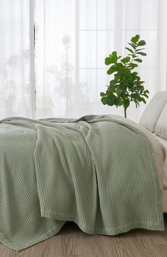 a bed with a green blanket on top of it next to a potted plant