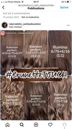 Mushroom Brown Wella, Wella Brown Hair Color Chart, Wella Professional Color, Wella Illumina Color Chart, Wella Formulas Brown, Wella Hair Formulas, Koleston Perfect Color Chart, Koleston Perfect Formulas, Wella Illumina Formulas