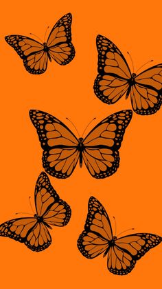 four butterflies flying in the air on an orange background