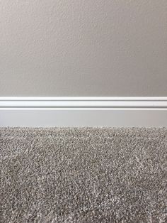 a cat is sitting on the carpet in front of a wall with a white strip