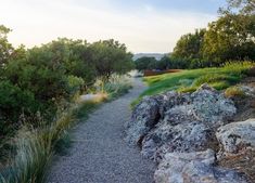 there is a gravel path that leads to the top of a hill with trees and bushes on both sides