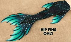 an image of a fish that is painted on the ground with words hip fins only