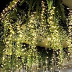 some lights are hanging from the ceiling in front of a planter filled with green plants