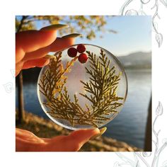 a hand holding a glass ornament with red berries and green leaves on it