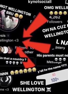 an image of someone's profile on their phone with the caption that says she love wellington