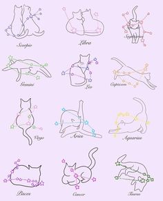 an image of zodiac signs with cats