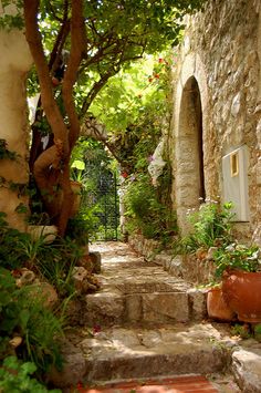 an alley way with stone steps and trees