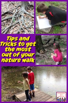 kids are writing and playing in the water with their nature walk materials, tips and tricks to get the most out of your nature walk