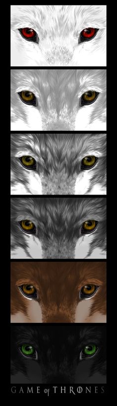 four different types of wolfs with red eyes and green eyes, each showing the same color