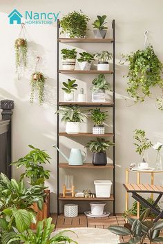 a room filled with lots of green plants and potted plants on top of shelves