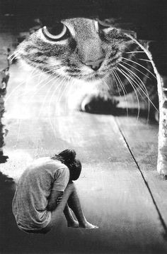 a man kneeling down in front of a cat on the ground with his head up