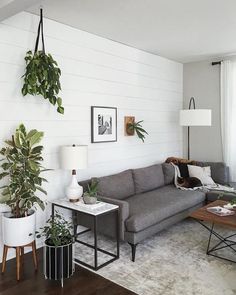 the instagram page shows an image of a living room with white walls and wood floors