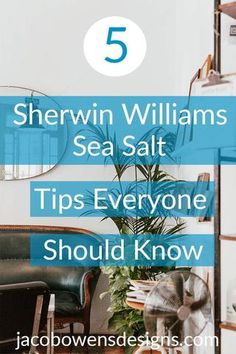 the top five shelving williams sea salt tips everyone should know to know about it