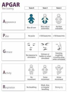 an app showing the different types of people in each language, and how to use them