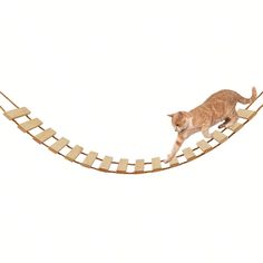 🐾 Adventure Awaits! Elevate your cat's playtime with the Cat Bridge for Cages – a sturdy wooden rope ladder wrapped in sisal for endless scratching and climbing fun. Perfect for cages or as a unique furniture addition, this bridge is designed to keep your feline entertained and active! 🐈✨ Cat Bridge, Cat Ladder, Toy Trees, Rope Ladder, Cat Playground, Cat Cages, Kitten Toys, Cat Enclosure