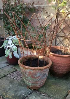 three pots with plants in them sitting on the ground