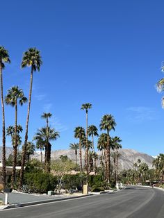 palm trees line the street in front of a mountain range