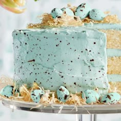 a cake with blue frosting and speckled eggs on top sits on a plate