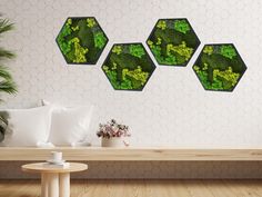 three hexagonal pieces of green moss on a wall above a bench in a living room