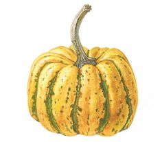 a drawing of a yellow pumpkin with green stripes on it's top and bottom