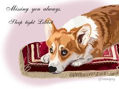 a brown and white dog laying on top of a red rug with the words missing you always