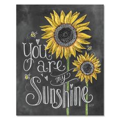 a chalkboard drawing of two sunflowers with the words you are my sunshine