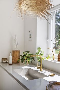 a kitchen sink under a hanging basket over it's counter top next to a window