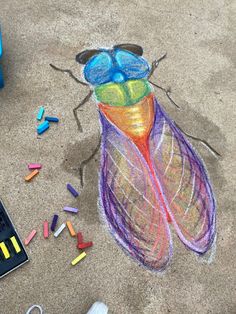 a drawing of a colorful insect on the ground with crayons next to it