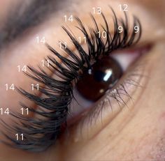 Wet Look Lash Extensions Map, ต่อขนตา Wet Look, Wet Lash Map, Eyelash Extension Mapping, Tattoo After Care, Lash Map, Natural Fake Eyelashes, Lash Mapping, Lashes Fake Eyelashes