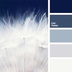 a white dandelion with blue and gray colors in the background is featured on this color palette