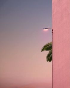 a pink building with a palm tree in the foreground and a street light above it