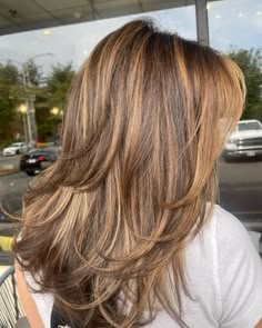 Harsh Highlights Hair, Light Brown Hair Color With Blonde Highlights, Blonde Brown Red Balayage, Highlights Light Brown Hair Blonde, Red Highlights On Light Brown Hair, Layered Haircut With Highlights, Layered Highlighted Hair, Fall 2024 Hair, Highlights On Light Brown Hair