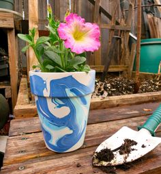 a potted plant sitting on top of a wooden table next to a gardening tool