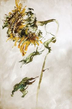 a painting of a sunflower on a white background