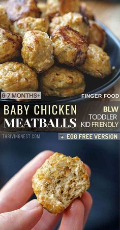 baby chicken meatballs Blended Meals Recipes, Eggless Baby Food, Egg Ladder Recipes, Blw Meal Prep 6 Months, Make Ahead Baby Led Weaning, Healthy Baby Led Weaning Meals, 7month Old Food Ideas, Meal Ideas For 8 Month Old Baby