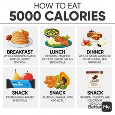 Meals For Calorie Surplus, Need To Gain Weight Tips, Calorie Gain Meal Plan, 6000 Calorie Meal Plan, Diet Meal Plan To Gain Muscle, 3000 Calorie Meals, Snacks To Gain Weight Tips, Calories Food To Gain Weight Meals, Diet For Gym Beginners